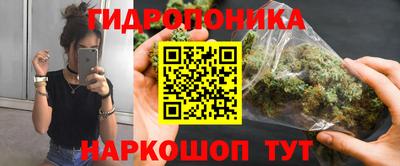 mdpv Новодвинск