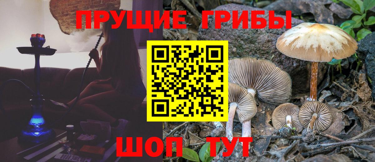 МАРИХУАНА  Меф  Экстази  Меф МЯУ МЯУ   ГАШИШ  Ставрополь  Вход с VPN  Cocaine  Гашиш  NBOMe 