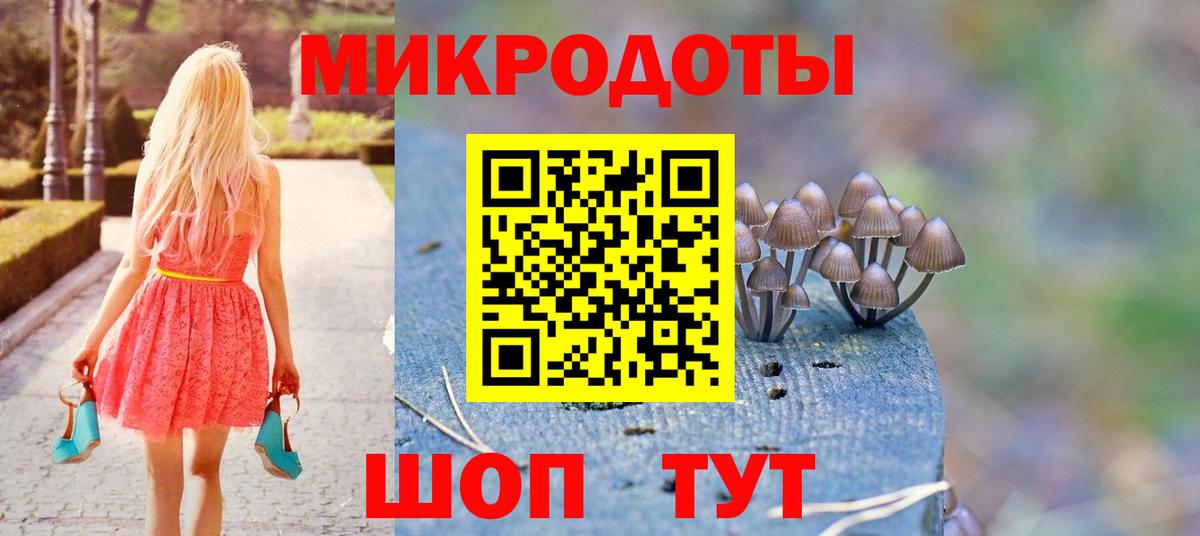 Ставрополь  Галлюциногенные грибы Psilocybine cubensis  Вход с VPN  Галлюциногенные грибы мицелий 